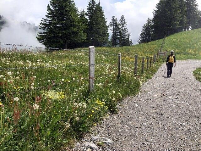 Mount Rigi Switzerland walking tour art vacation